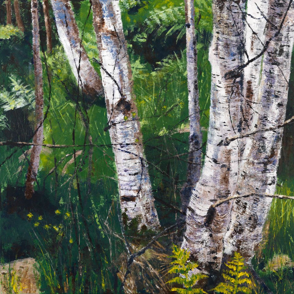 Painting of Birch trees